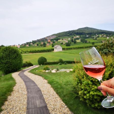 Roze Vendeghaz Hotel Villany Bagian luar foto
