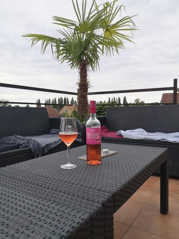 Roze Vendeghaz Hotel Villany Bagian luar foto