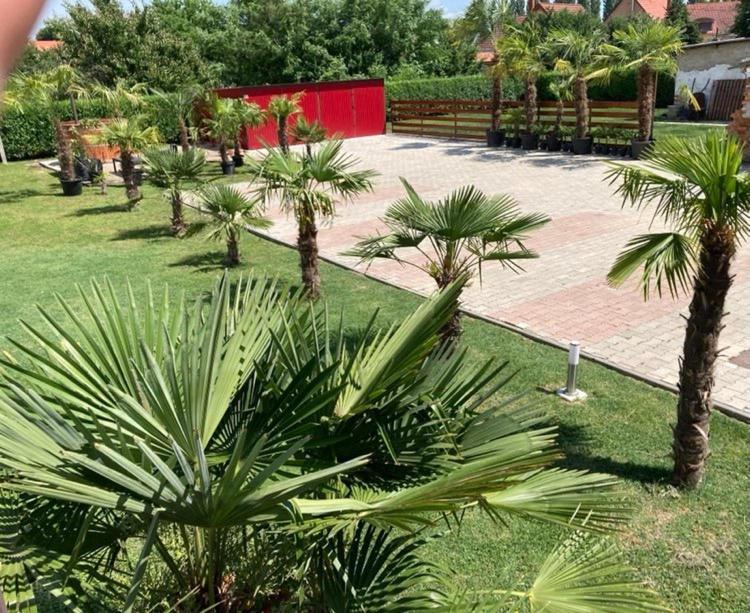 Roze Vendeghaz Hotel Villany Bagian luar foto