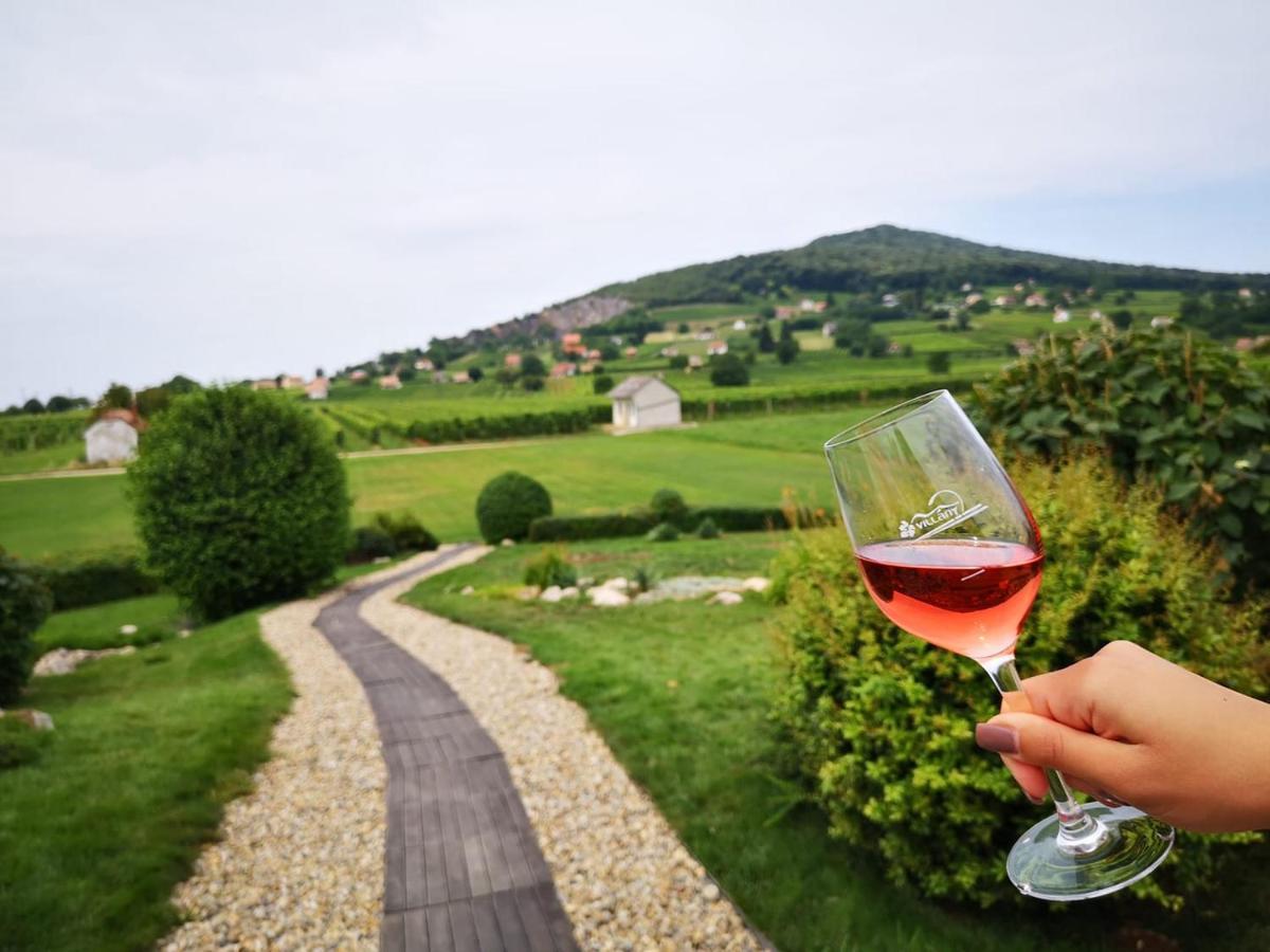 Roze Vendeghaz Hotel Villany Bagian luar foto