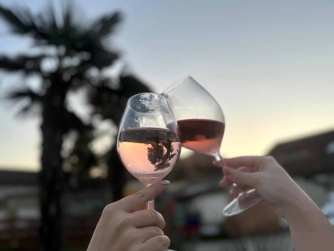 Roze Vendeghaz Hotel Villany Bagian luar foto