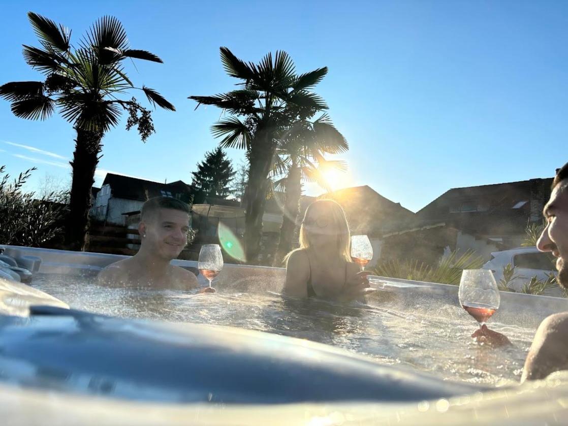 Roze Vendeghaz Hotel Villany Bagian luar foto